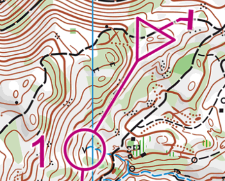 MapIssuePoint.PNG
