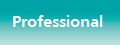 Professional.PNG