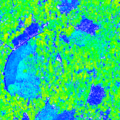 Thumbnail for version as of 12:35, 1 December 2014