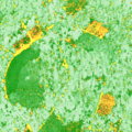 Thumbnail for version as of 12:35, 1 December 2014