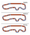 Thumbnail for version as of 09:53, 14 May 2012