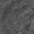 Thumbnail for version as of 12:34, 1 December 2014