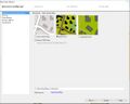Thumbnail for version as of 08:48, 5 February 2021